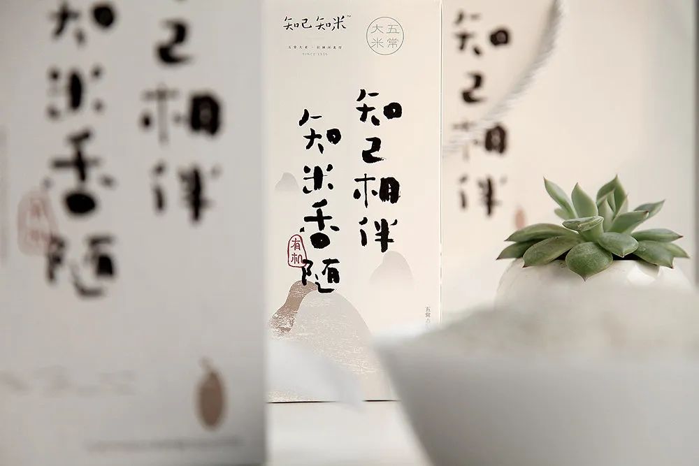 闀囨睙澶х背鍖呰璁捐,澶х背鍖呰璁捐娴欐睙