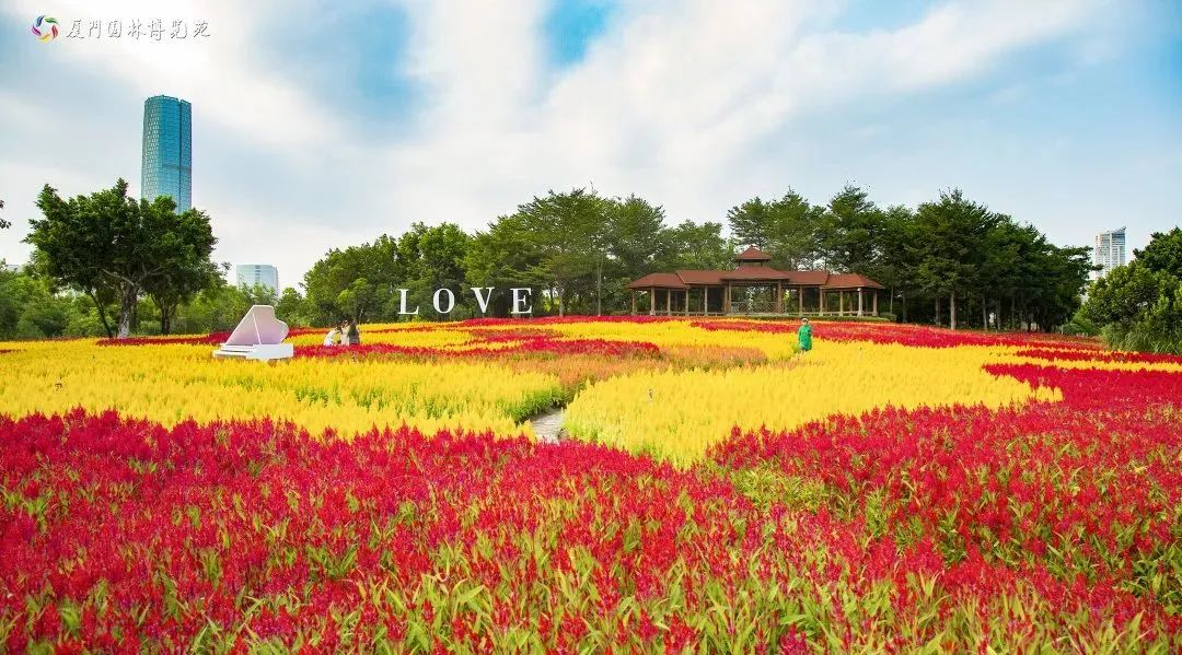 集美最值得去玩和吃的地方,厦门集美值得去的地方推荐