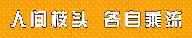 圆果化香有何化学成分？其活性分析有何成果？