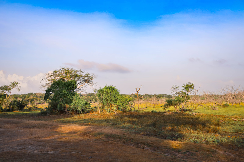 斯里兰卡旅游攻略必去景点,斯里兰卡最佳旅游攻略