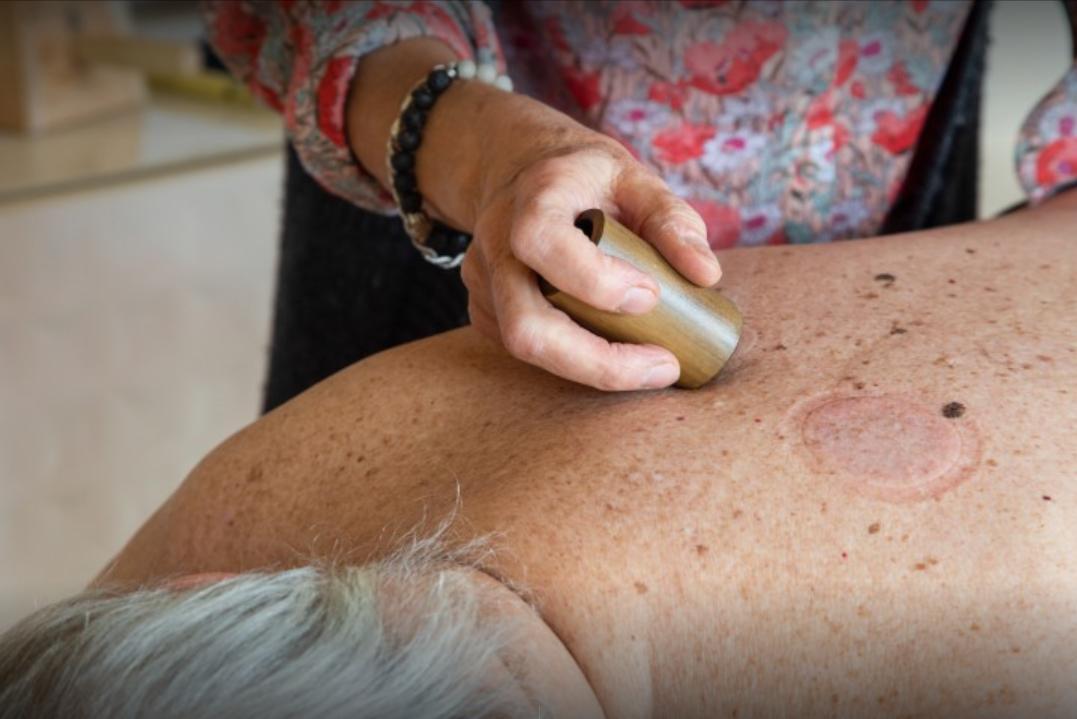 法国的国宝级老中医,中医药治老狗