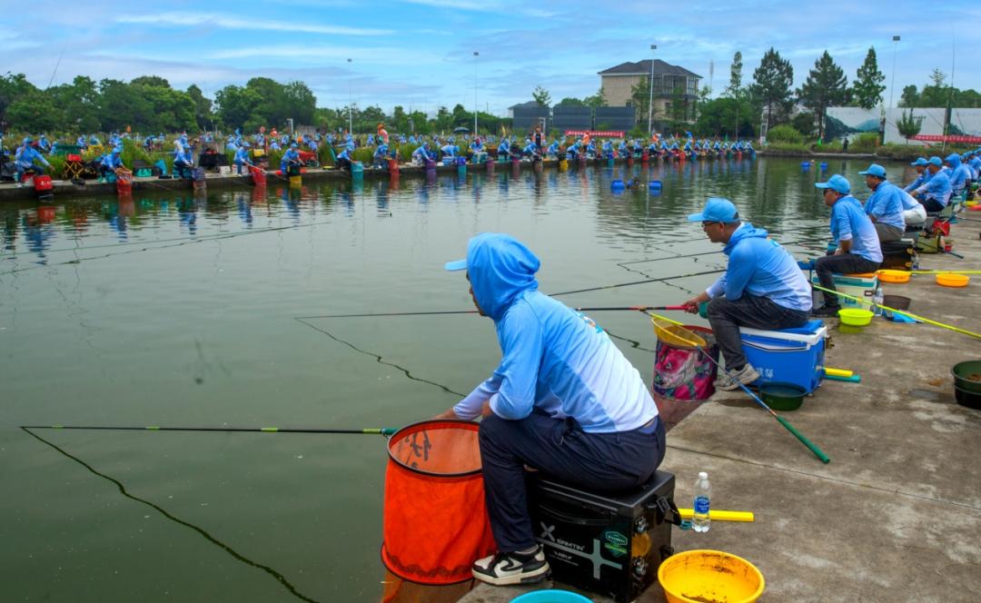 县市动态|绿茵激战,勾起球迷陈年记忆