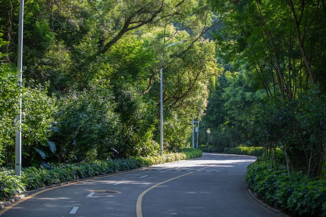 深圳梅林水库绿道线路图,深圳首条手作步道