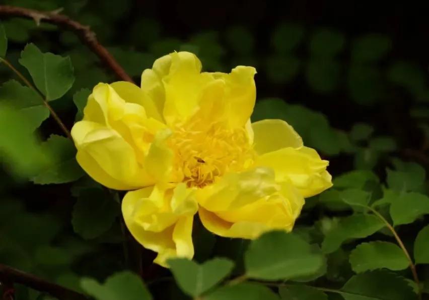 人间有味是清欢完整版免费观看,人间有味是清欢林清玄原文摘抄