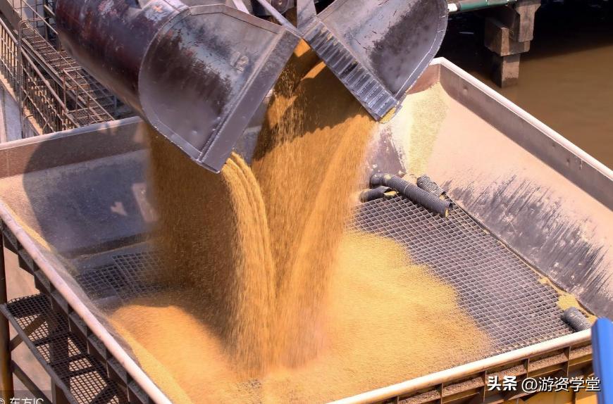 巴西大豆出口贸易现状及对策,巴西大豆对华出口