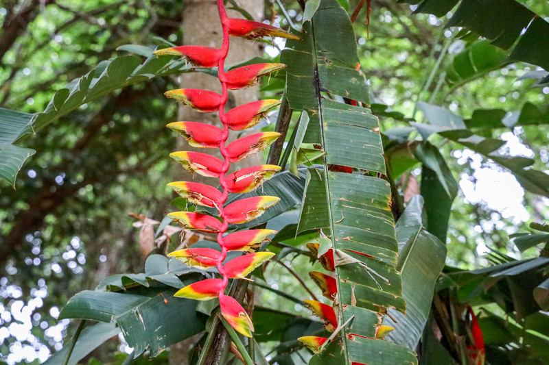 斯里兰卡旅游攻略必去景点,斯里兰卡最佳旅游攻略