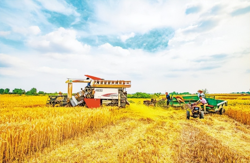 农业产业周报|老乡鸡、洪九果品、双汇发展、荃银高科最新动态