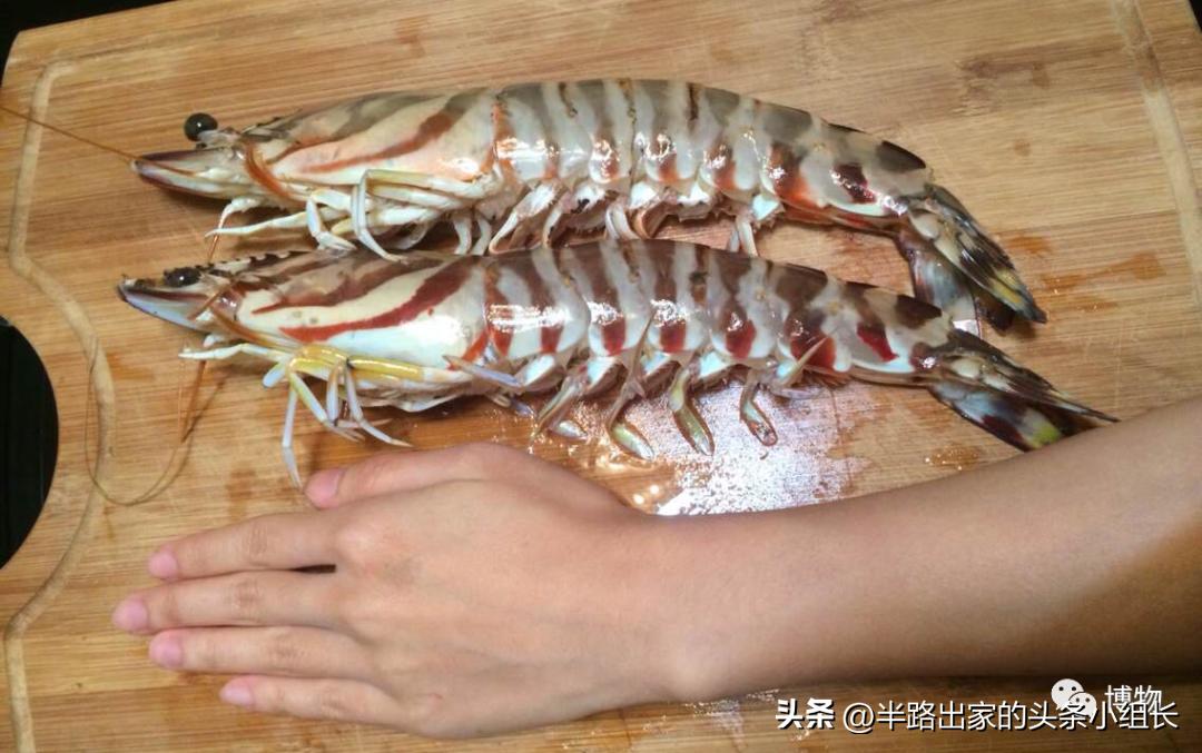 基围虾是不是基围虾,基围虾是直的吗