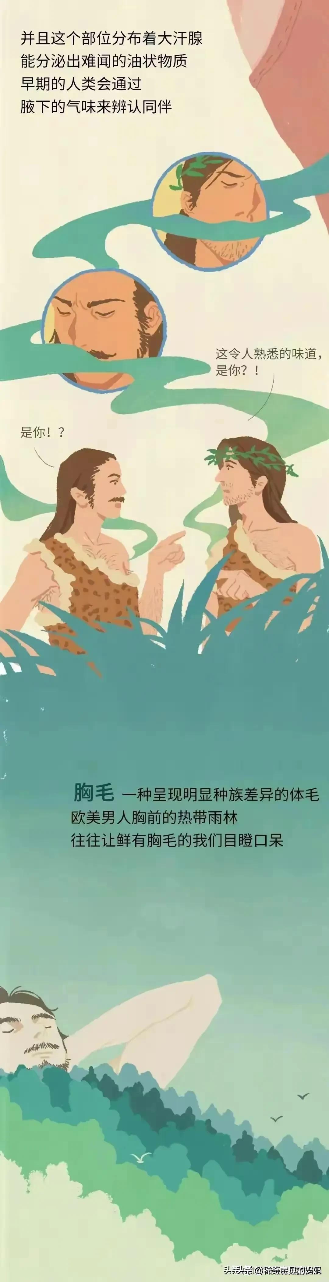 人类的体毛作用,人类为何没有浓密的体毛