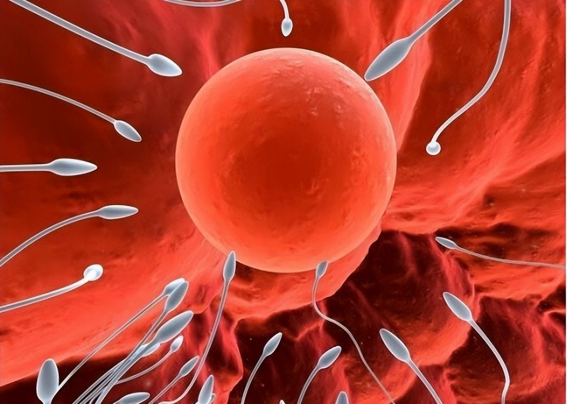 没有阴道的“石女”，到底是怎么回事？和正常女性相比有何区别？