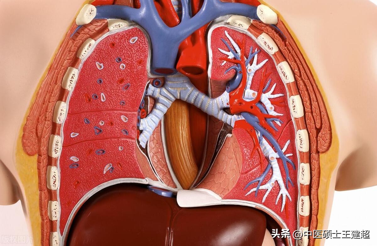 爱出汗是脾虚怎么调理,脾阴不足的舌苔