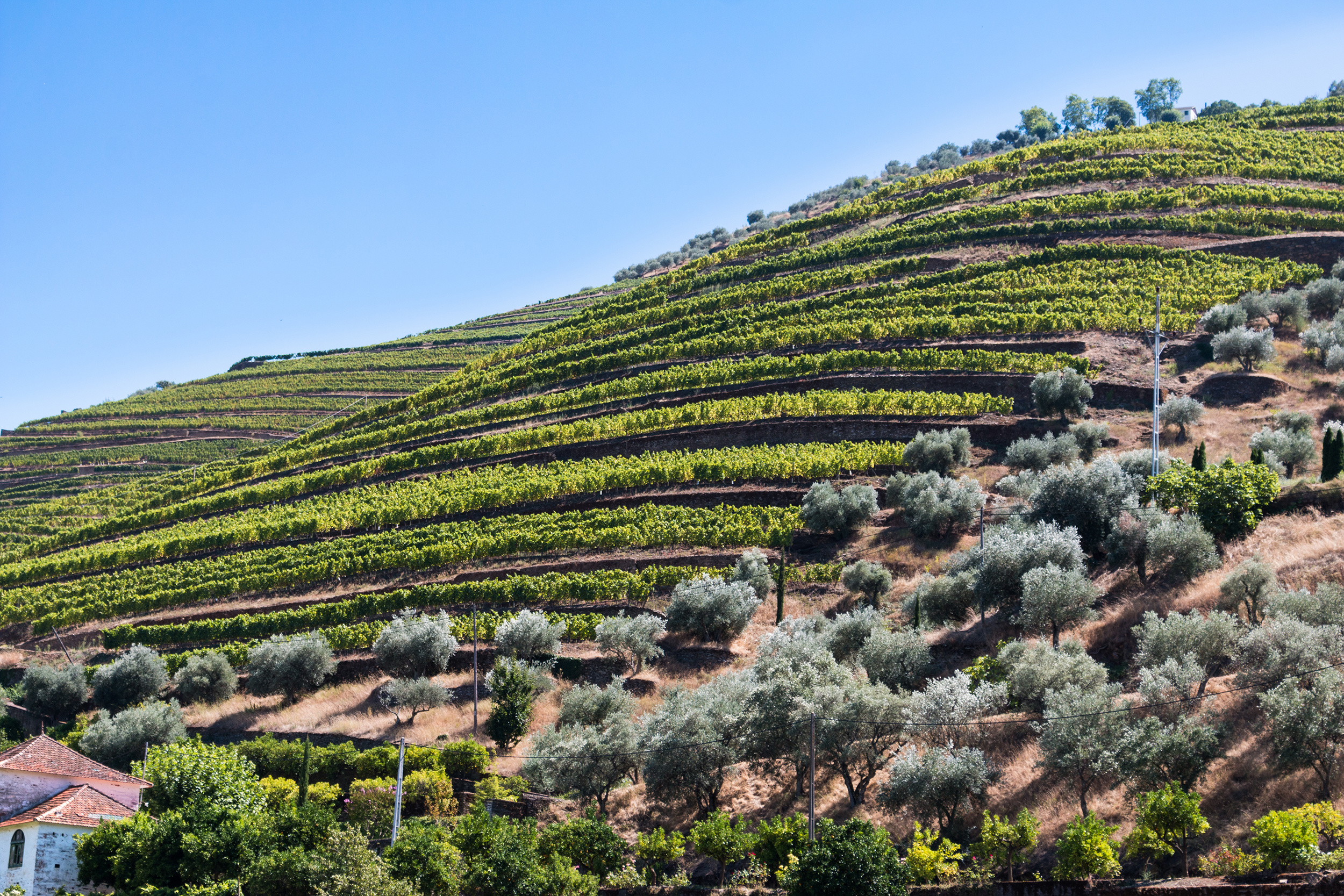 葡萄牙葡萄酒大全,葡萄牙产地的葡萄酒怎么样
