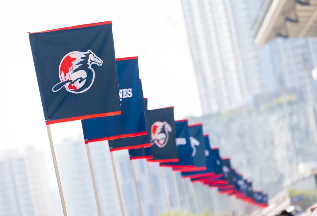 单日投注额17.28亿：1亿港元奖金香港国际赛事落幕