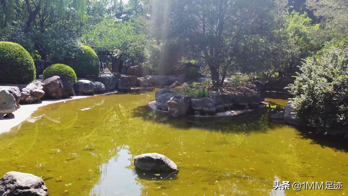 2块钱能干什么,现在社会2000块钱能干啥