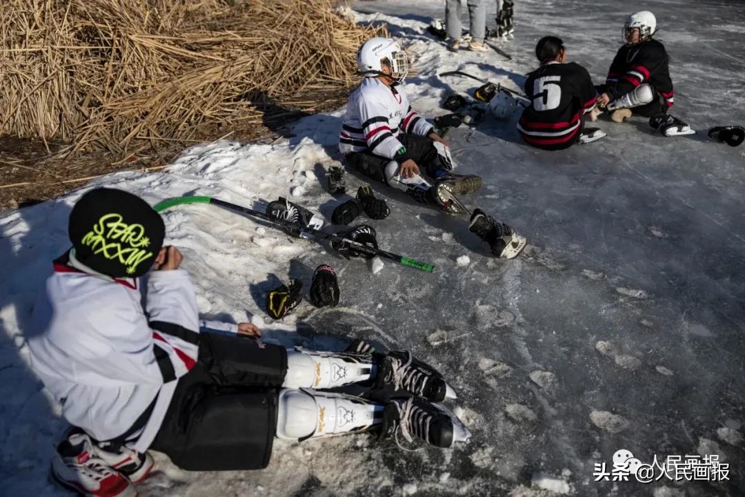 新春走基层新农人的绿色田园梦,新春走基层希望的田野上