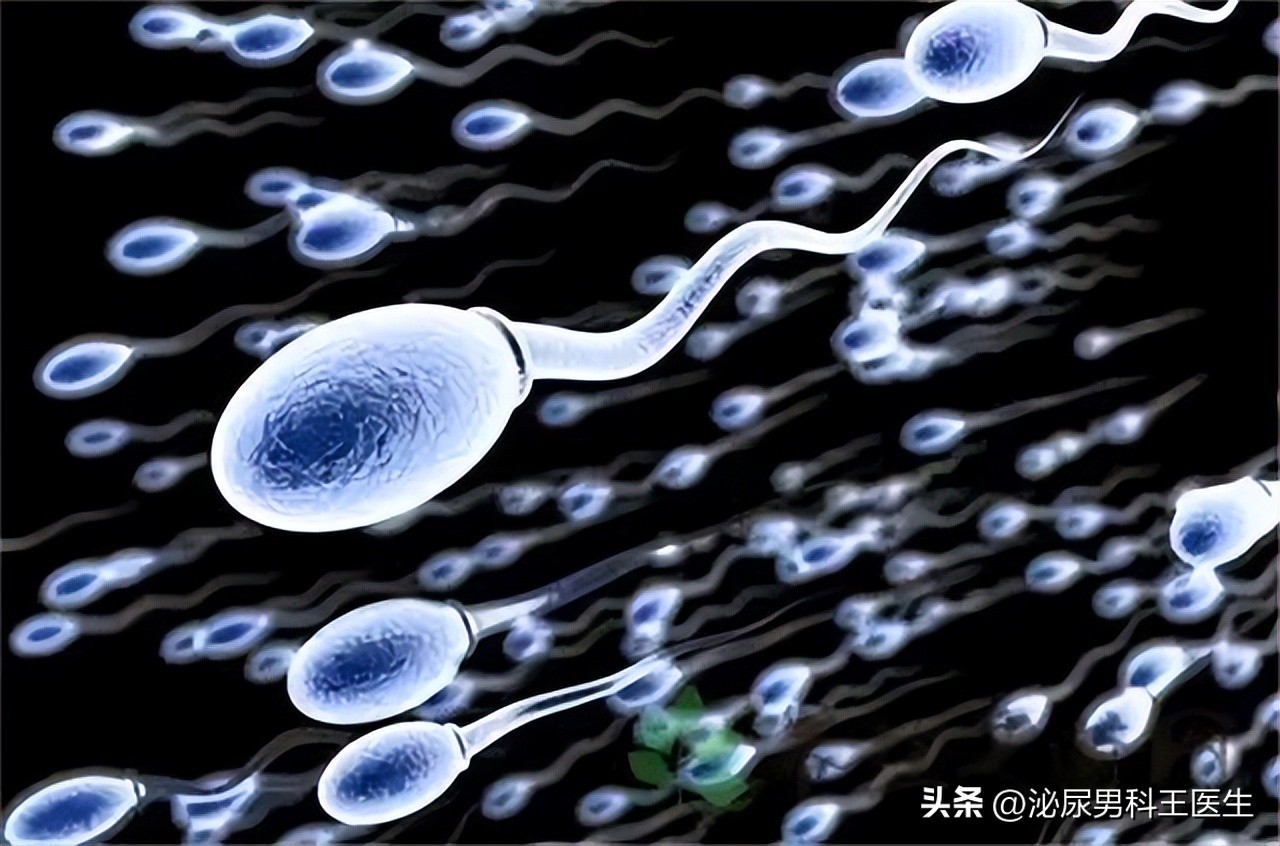 进入女性体内，没有成功“受精”的精子，都怎样了？