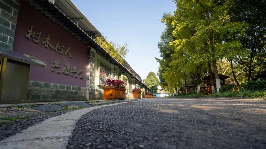 为家乡打call歌曲,为家乡打call