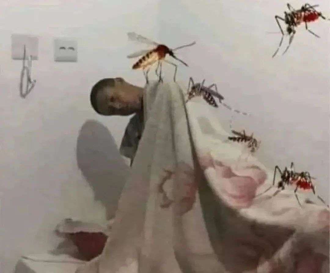 夏季常见蚊虫叮咬图鉴,女孩被家人吸血10年