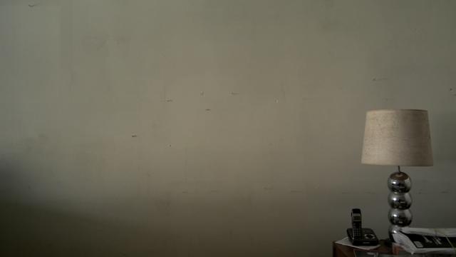 丁克家庭晚年真实生活 (丁克晚年生活纪录片)