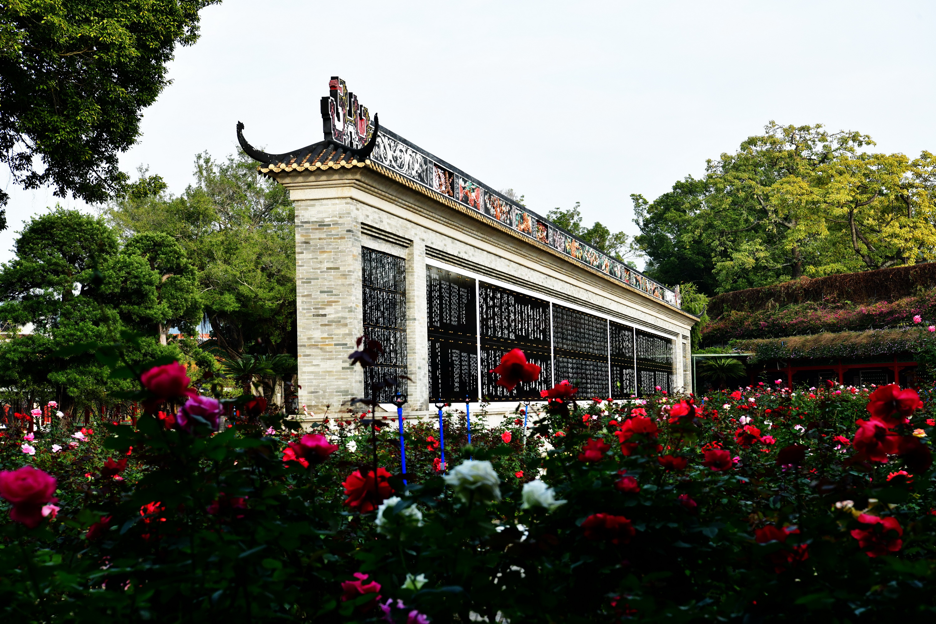 广州市番禺区宝墨园攻略,广州宝墨园景观