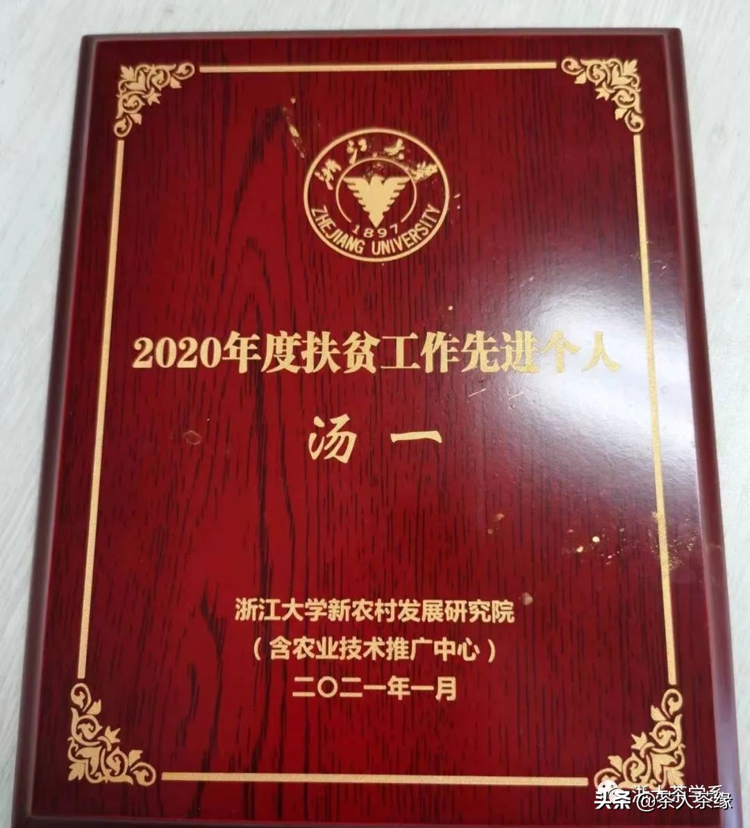 浙江大学茶学专业获评国家级一流本科专业建设点