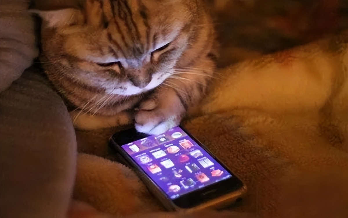 五一出行温馨提示通知,五一出行温馨提示视频