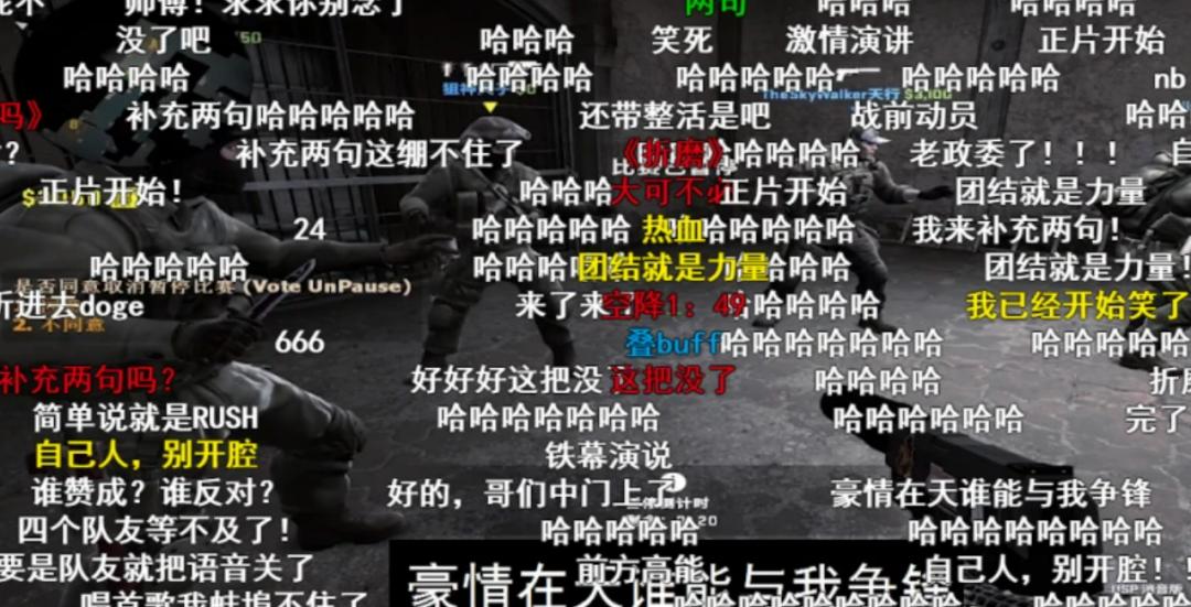 张伟丽格斗视频全集完整版,张伟丽是中国格斗第一人吗