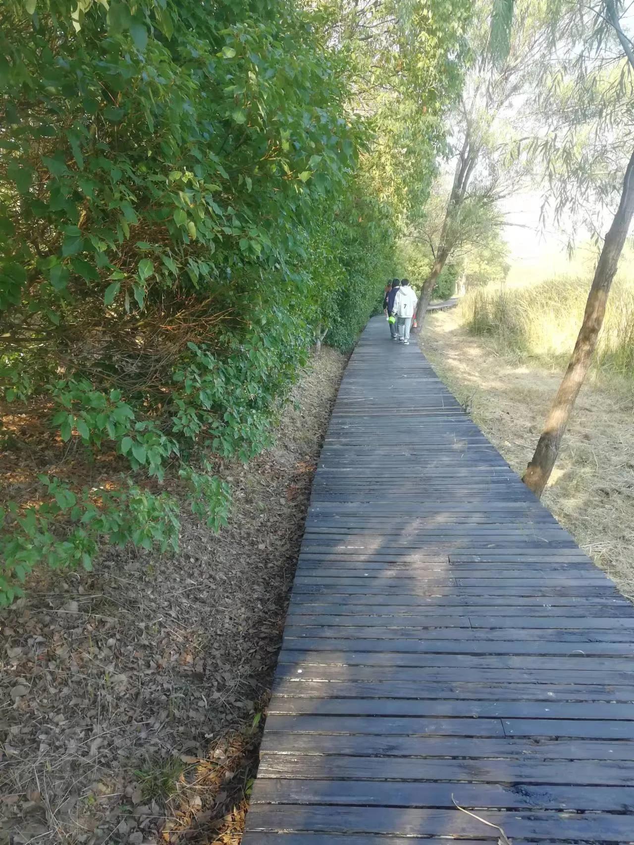 周末探访合肥市蜀山区枫林路