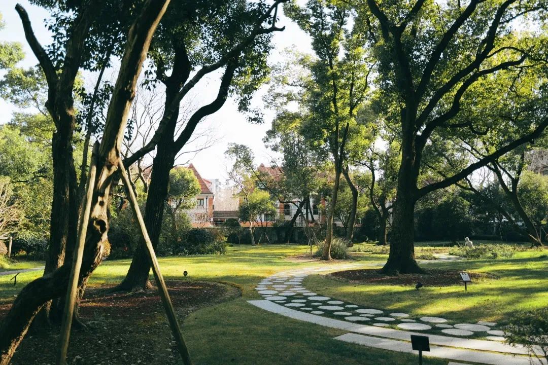 你们还知道哪些免费的宝藏景点,魔都小众宝藏打卡地