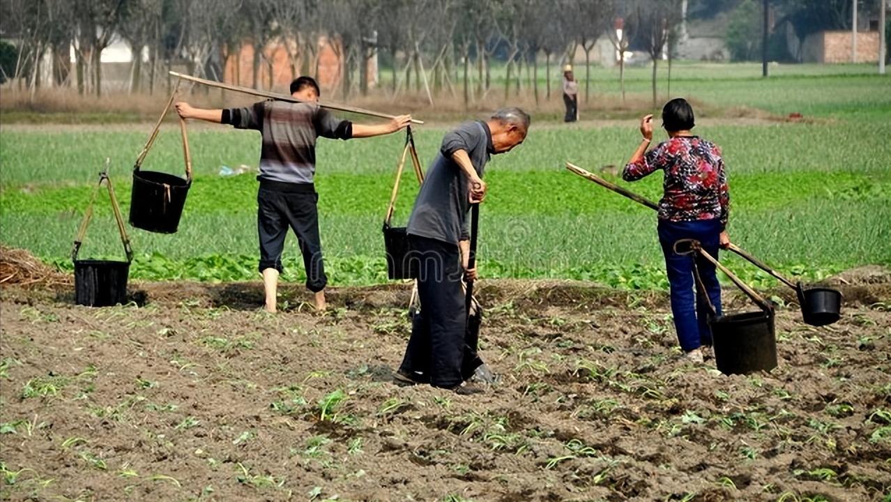怎么做好农村家庭农场,想要经营家庭农场你必须知道这些