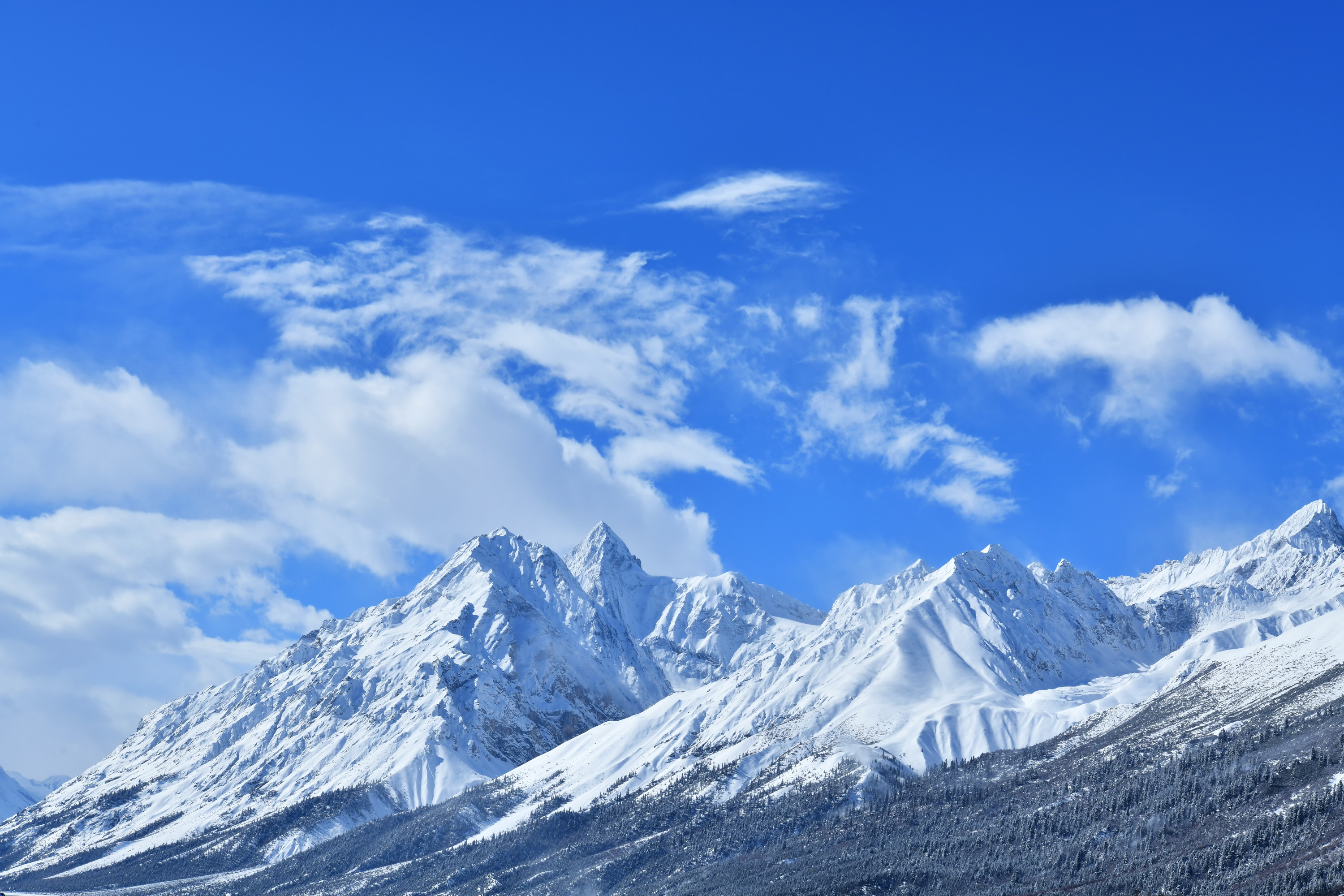 雪域林芝桃花图片 (在雪域江南西藏林芝邂逅漫山桃花)