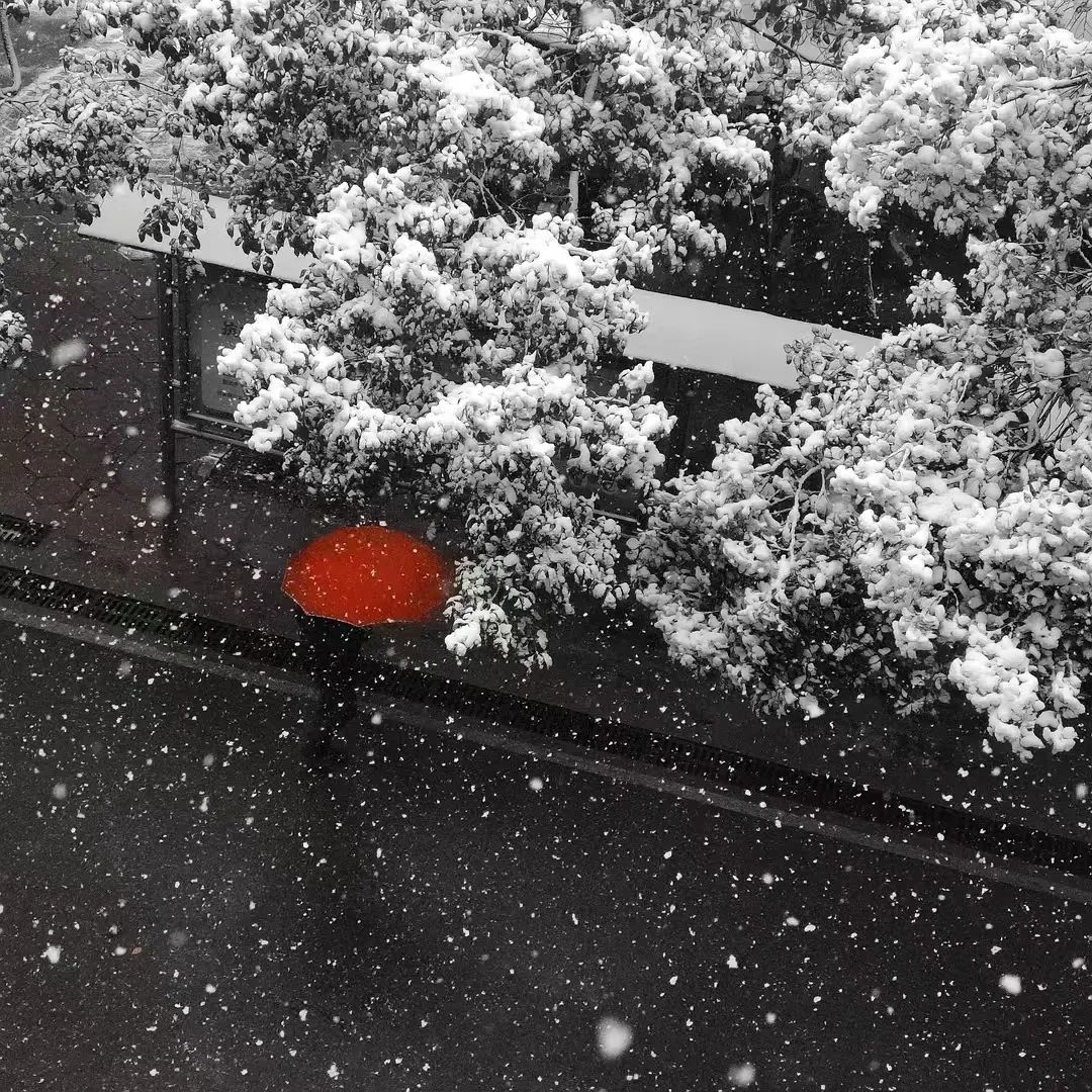 好文案英语,豆瓣上的文案