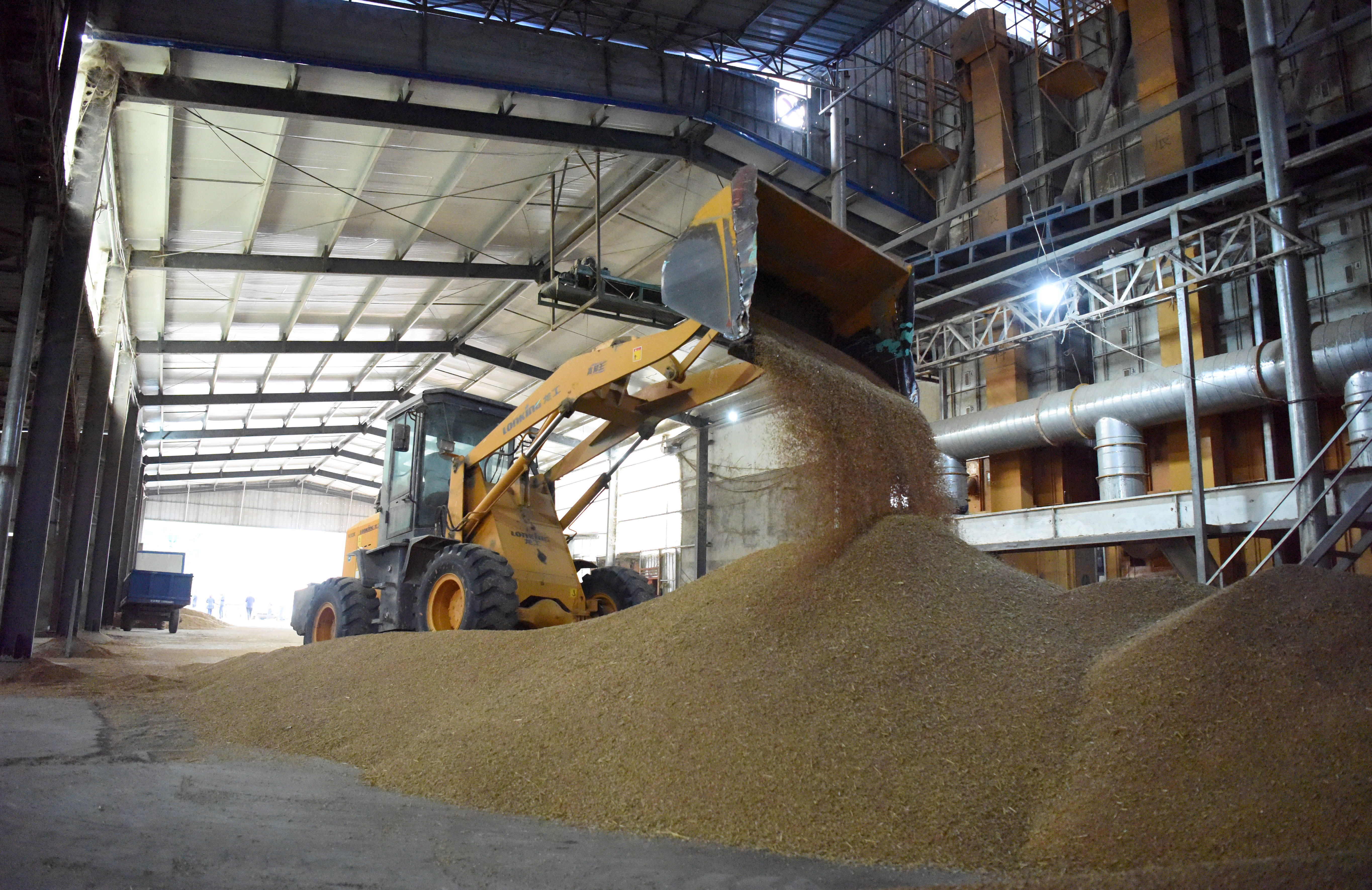 小麦抢收烘干无忧,粮食烘干的补贴建议