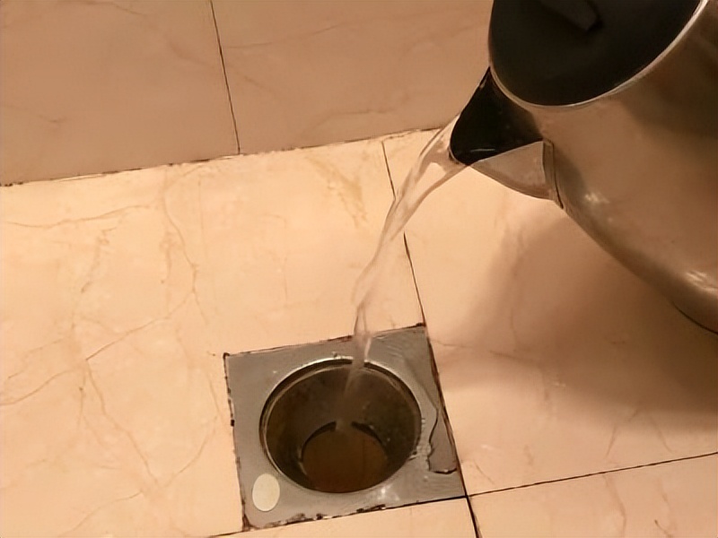 卫生间的小虫子有哪些危害,卫生间面盆下水道有小虫子怎么办