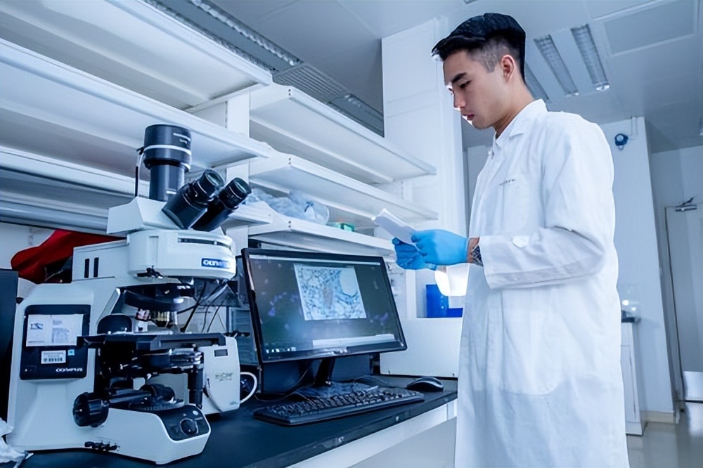 价格打下来了,价格打下来后还能拉上去吗