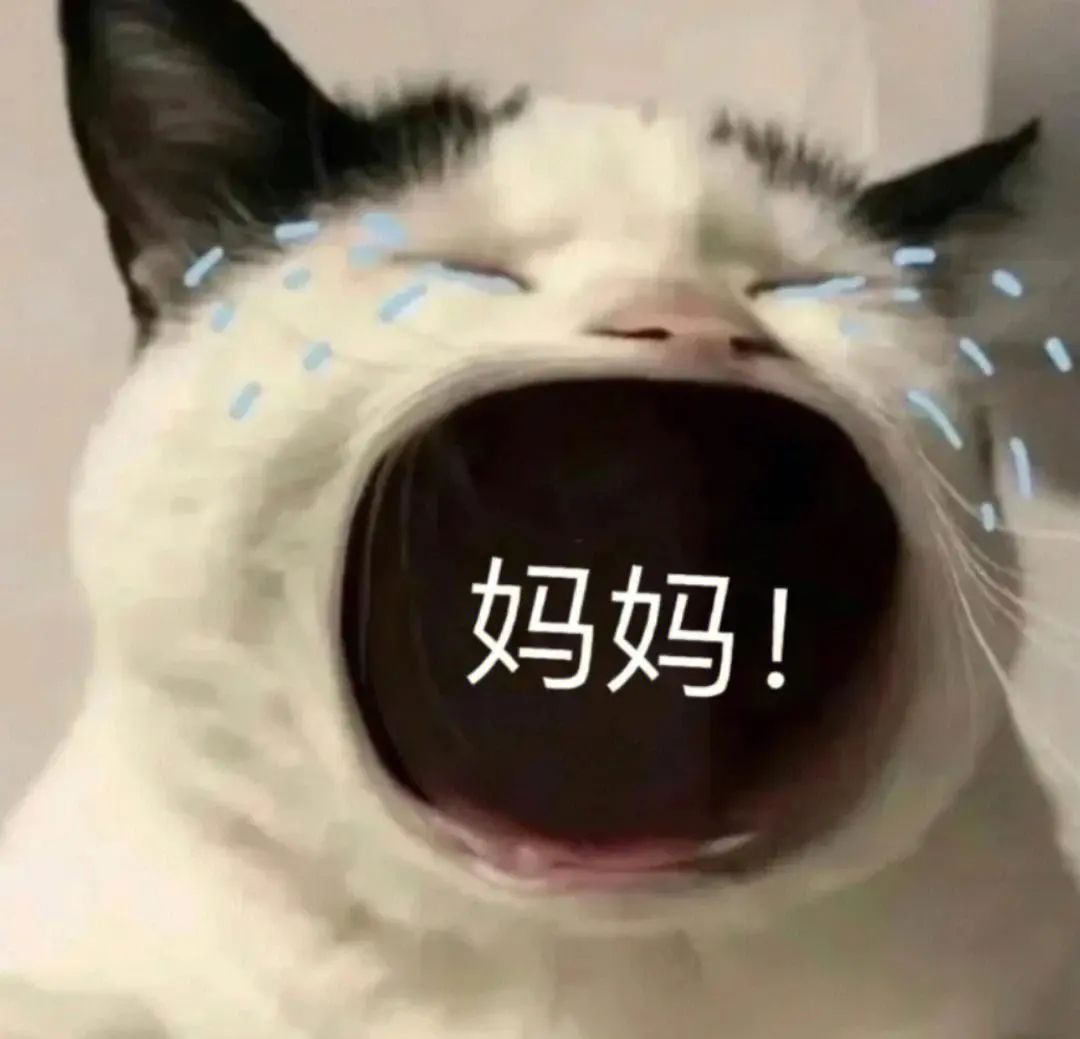 银行存款利率2024最高利率,最新香港储蓄险50%回报率