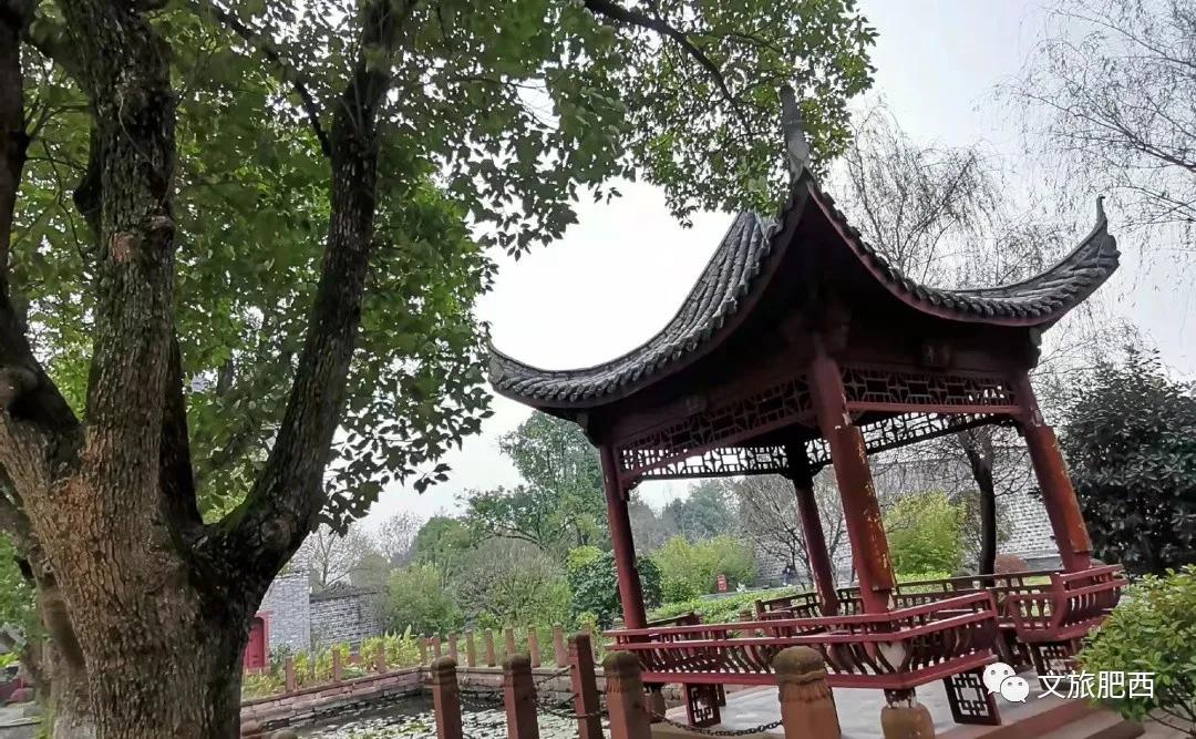 原来，在社交平台中，肥西的真实风景是这样的