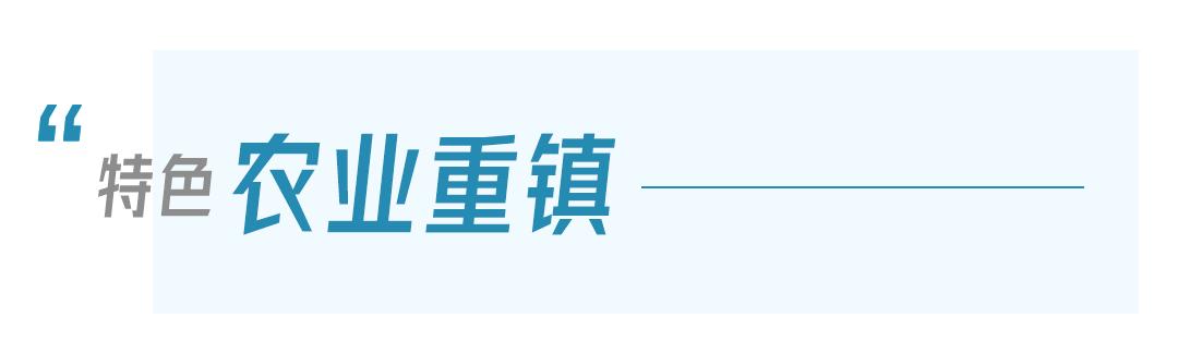 鄂州泽林镇新闻,鄂州泽林镇最新规划