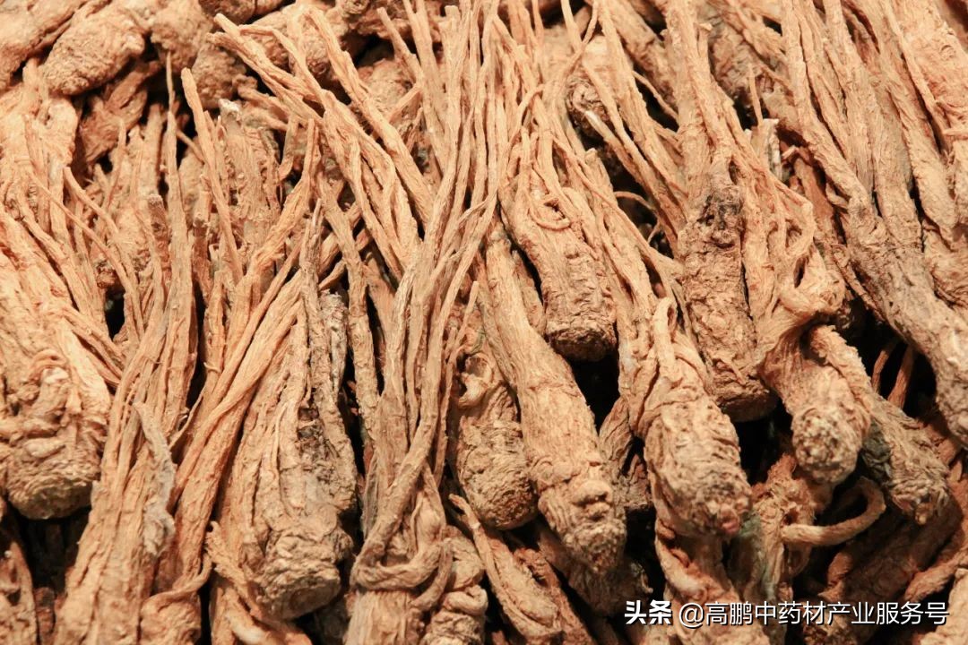 药材走势预测,高鹏说药材近期部分品种价格行情