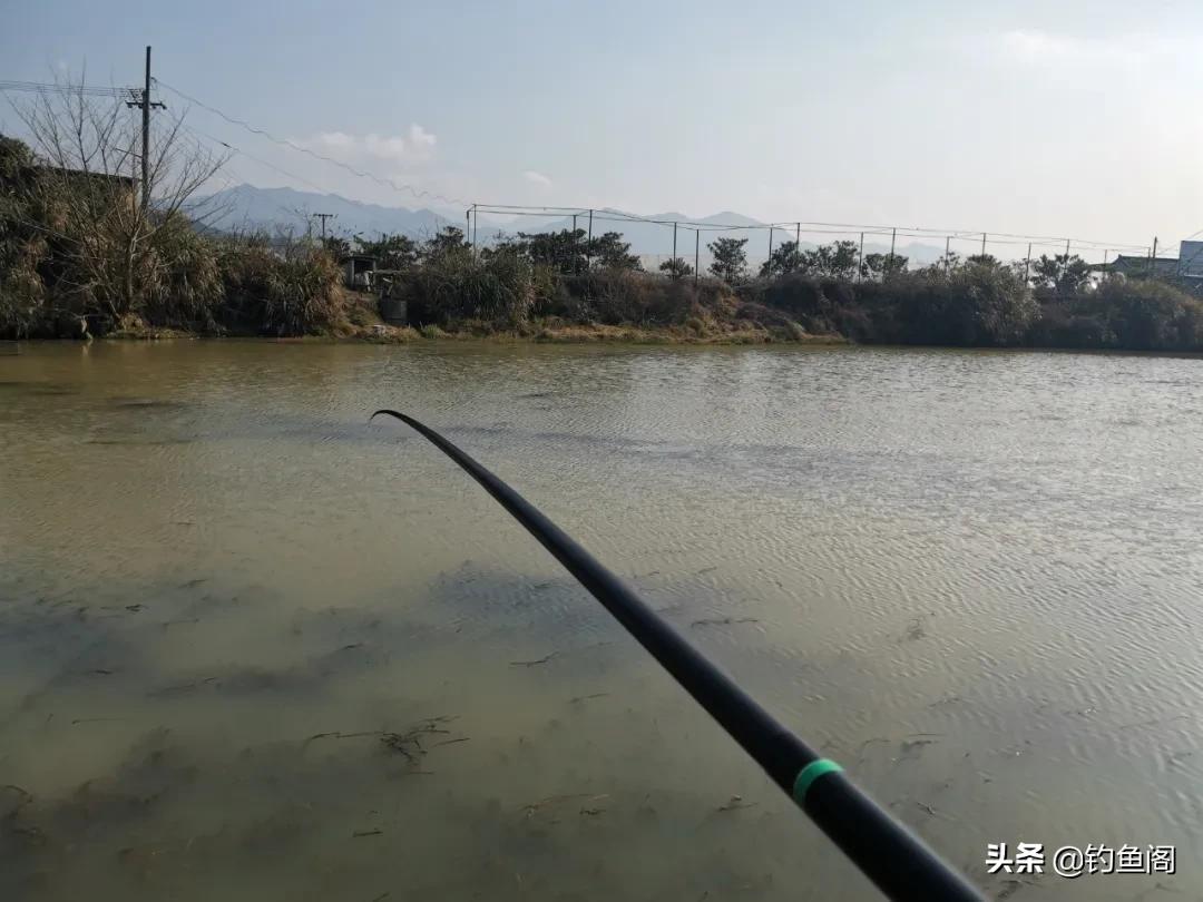 三秒钟ak47鱼竿怎么样,传统钓ak47用13米竿合适吗