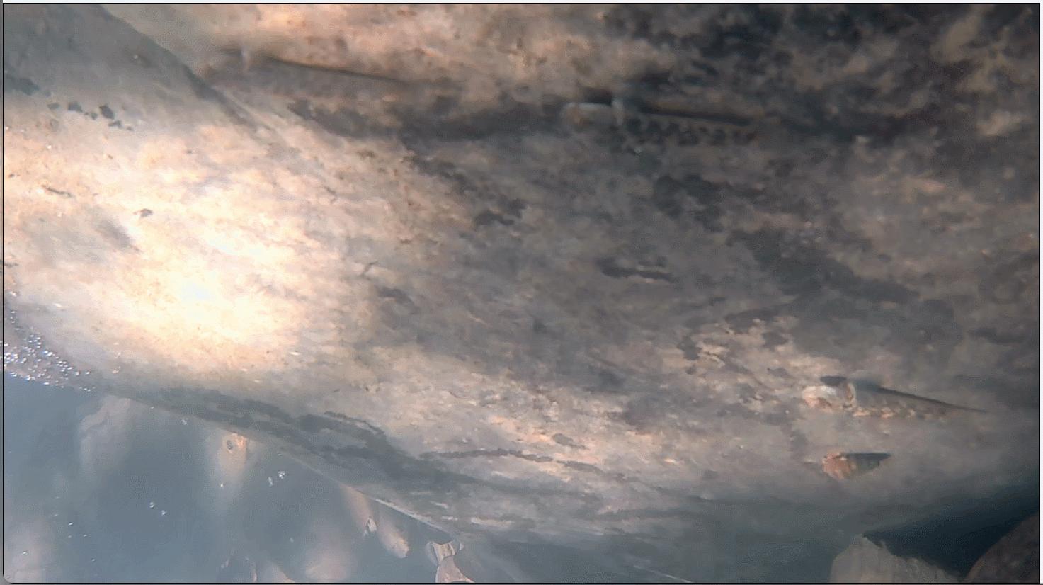 2023年最火的运动相机推荐,2023年运动相机选哪款