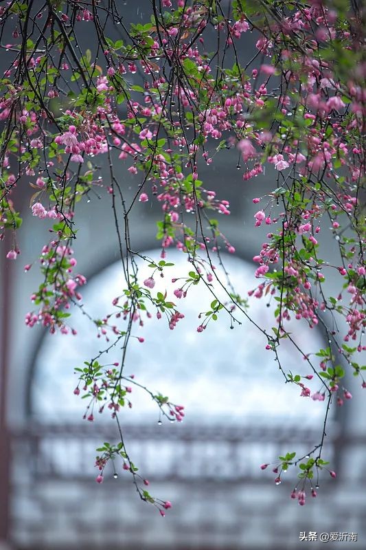 100个描写天气的词语,20个描写天气的雅称