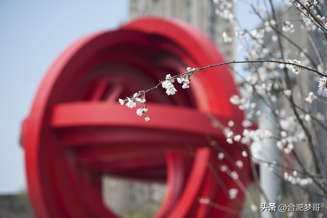 合肥瑶海哪个板块买房最好,2022合肥瑶海房产趋势分析