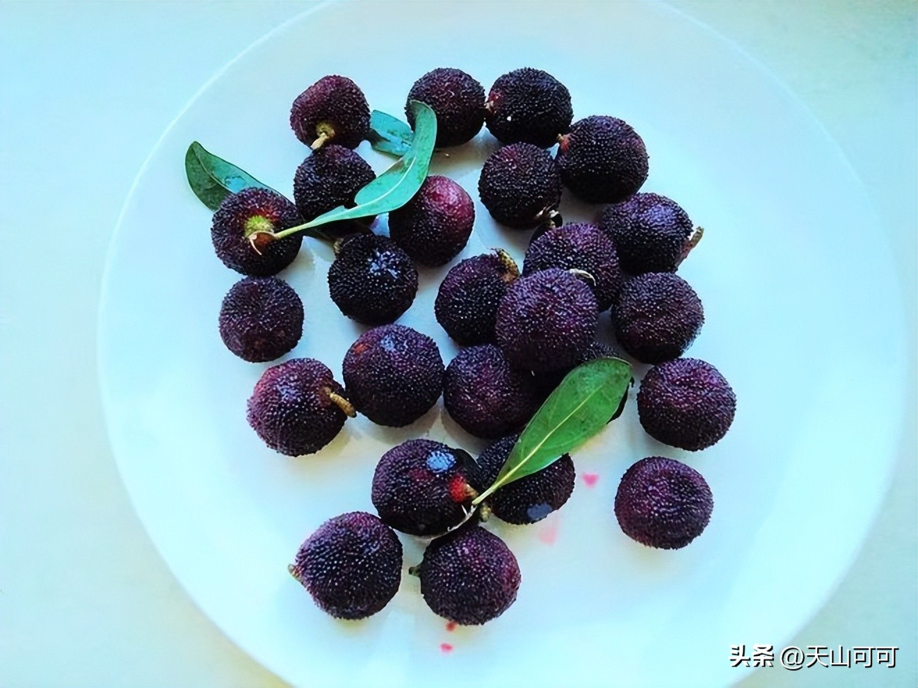 杨梅泡酒杨梅要怎么清洗,泡杨梅酒杨梅要怎么清洗