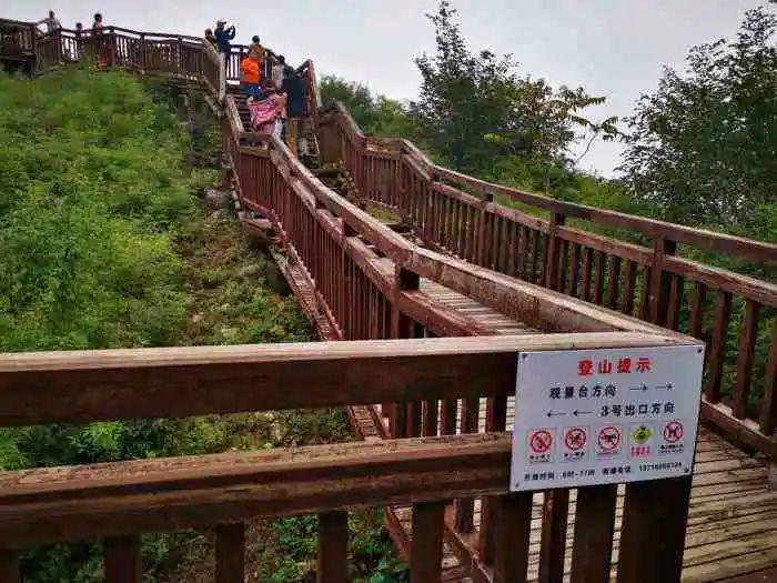 京郊步道旅游攻略,最惊艳的森林步道