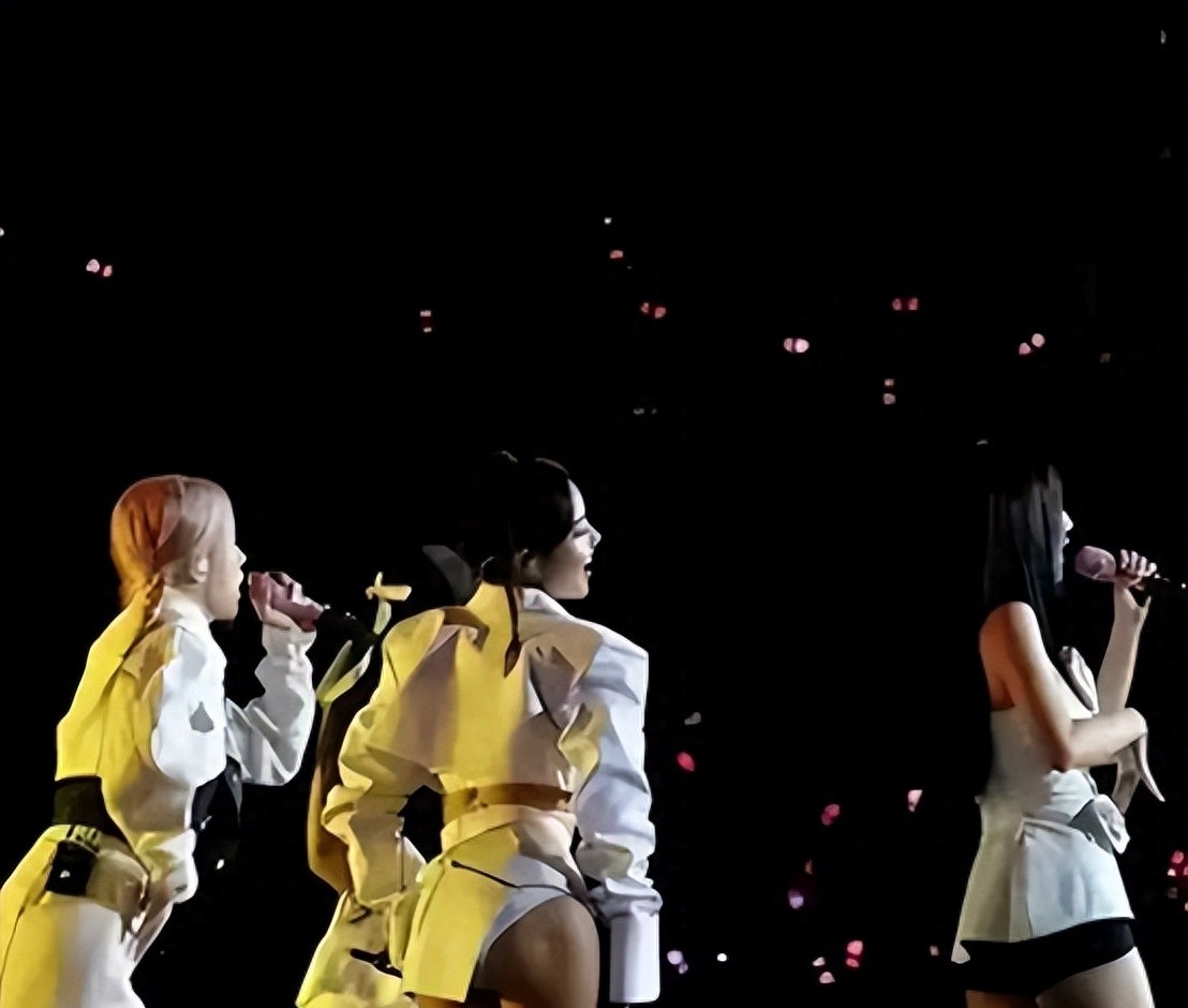 Lisa全裸参加“脱衣舞”,回应态度嚣张,讽刺网友没钱不被邀请!