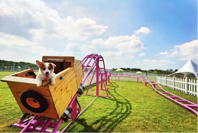 小区建宠物乐园利弊,小区里想建狗狗屋子怎么办