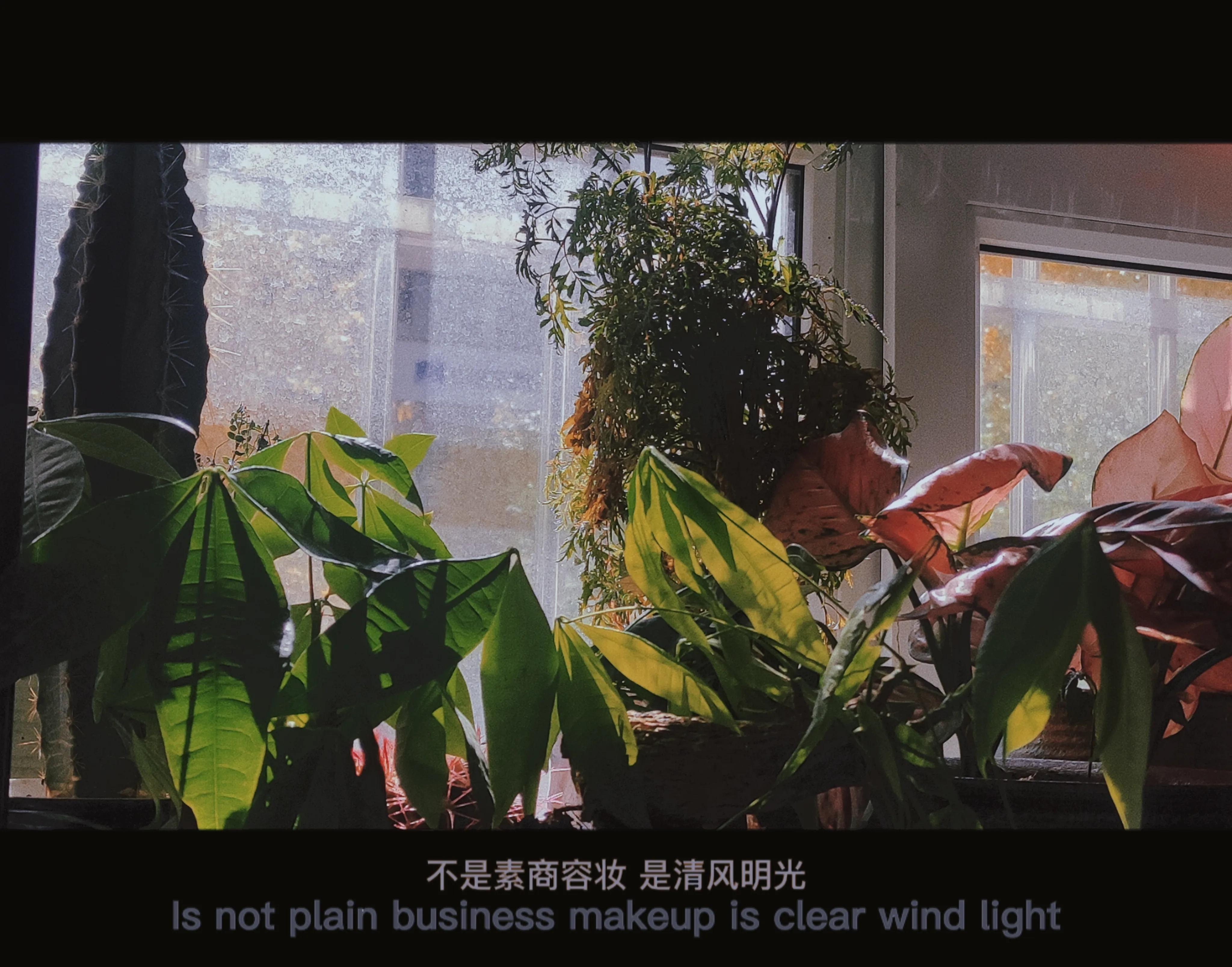 疫情之下小区秋色荡漾,疫情之下绣湖路