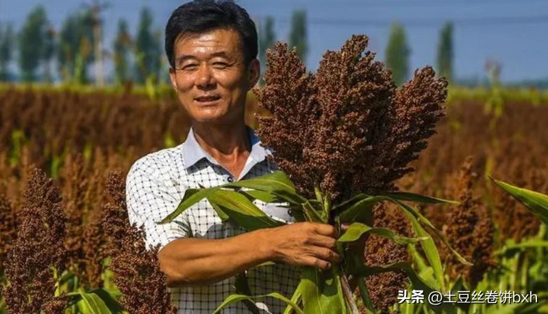 白酒知识100问白酒怎么喝不容易醉,白酒难喝加什么口感好些