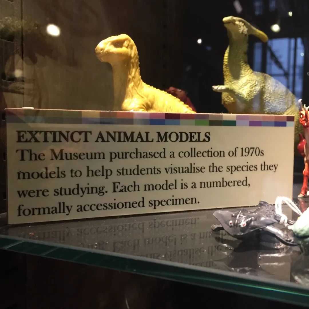 英国伦敦大学ucl学校,英国留学之g5大学介绍